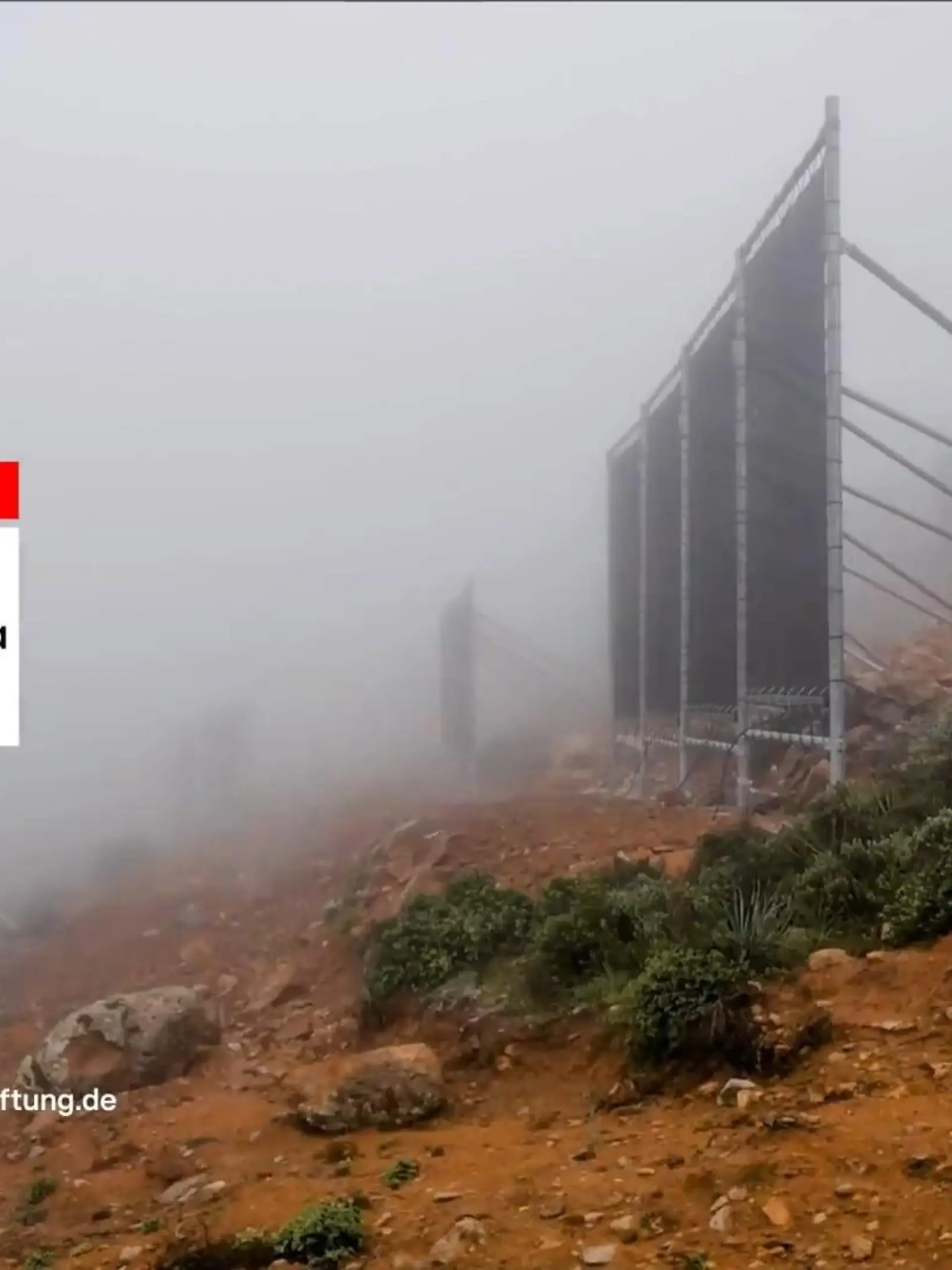 Bild zu: "Cloud Fishing als innovative Lösung"