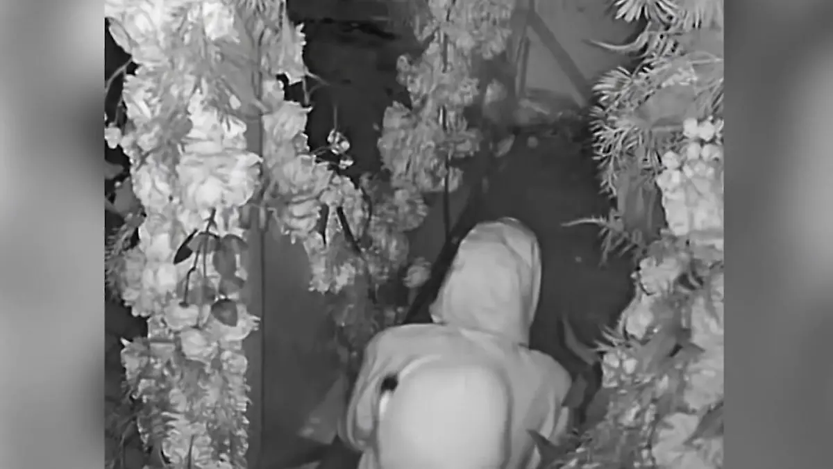 Erst Einbruch, dann Sex! Paar schockt Kellner mit Erotik-Show Heiße Liebe im Restaurant