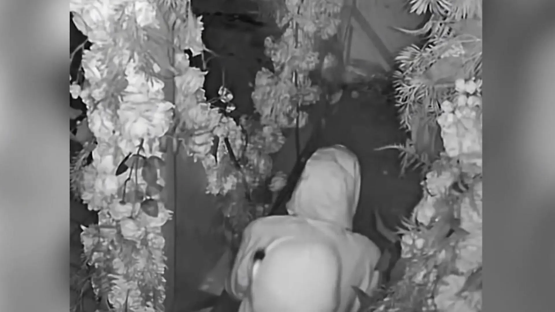 Erst Einbruch, dann Sex! Paar schockt Kellner mit Erotik-Show Heiße Liebe im Restaurant