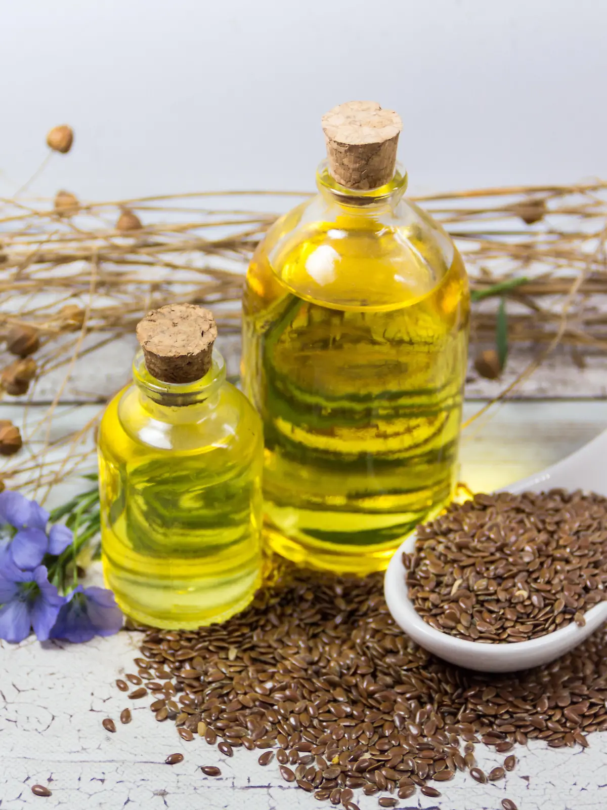 Leinöl, Leinsamen und Flaxpflanze