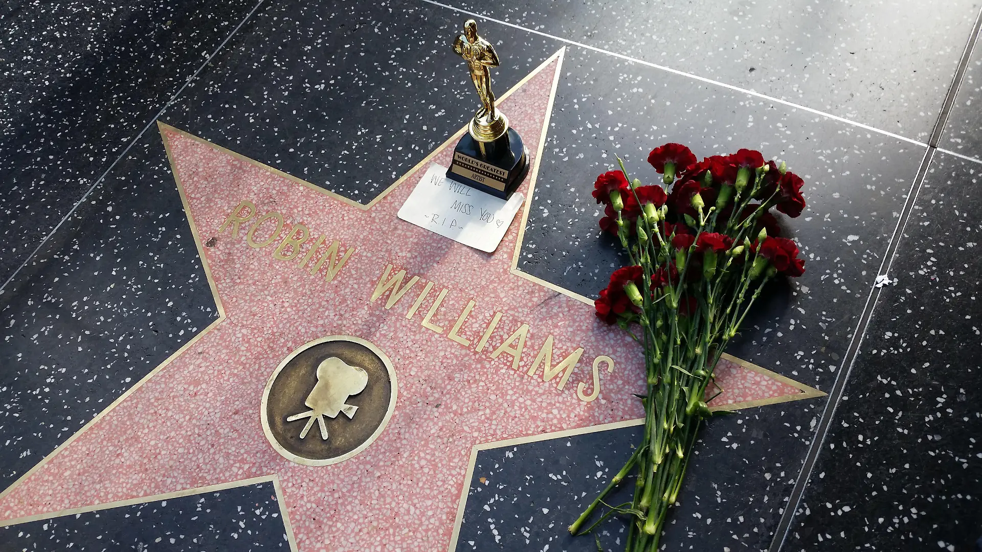 Floral tribute on the Robin Williams star on the walk of fame
<P>
Pictured: Robin Williams
<B>Ref: SPL819403 110814 </B><BR/>
Picture by: Splash News<BR/>
</P><P>
<B>Splash News and Pictures</B><BR/>
Los Angeles: 310-821-2666<BR/>
New York: 212-619-2666<BR/>
London: 870-934-2666<BR/>
photodesk@splashnews.com<BR/>
</P>