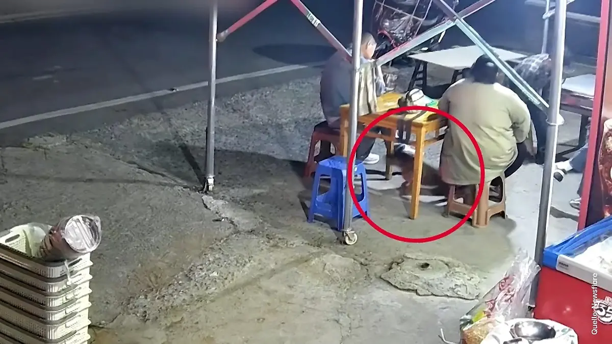 Sein Bellen rettet Leben! Dank Hund kann Familie noch rechtzeitig flüchten Vor Tragödie bewahrt