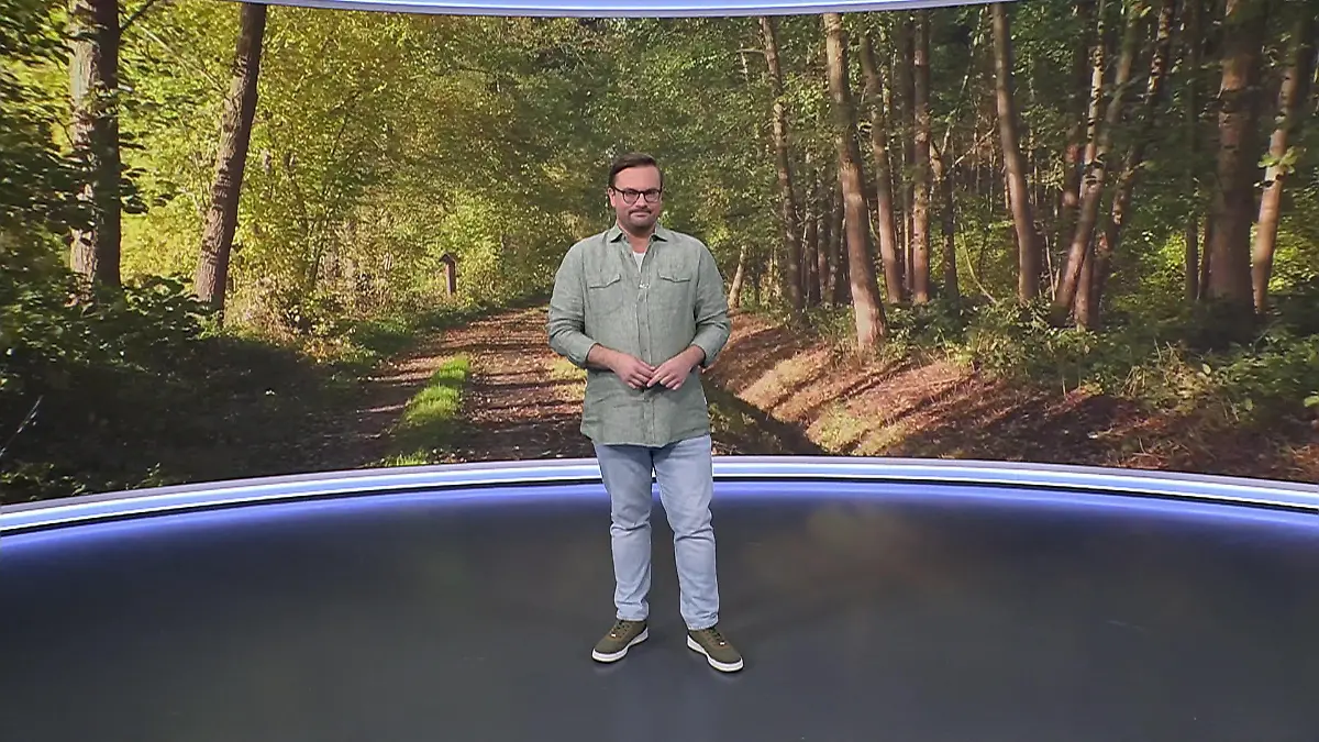 Aktuelle 3-Tage-Vorhersage Video Wetterbericht