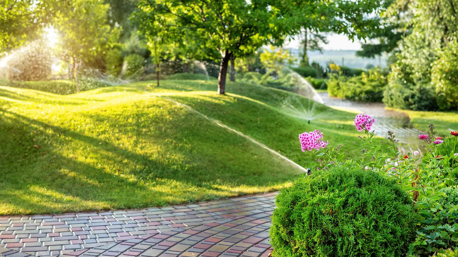 Bewässerungs-Systeme in Haus und Garten: Was ist sinnvoll?
