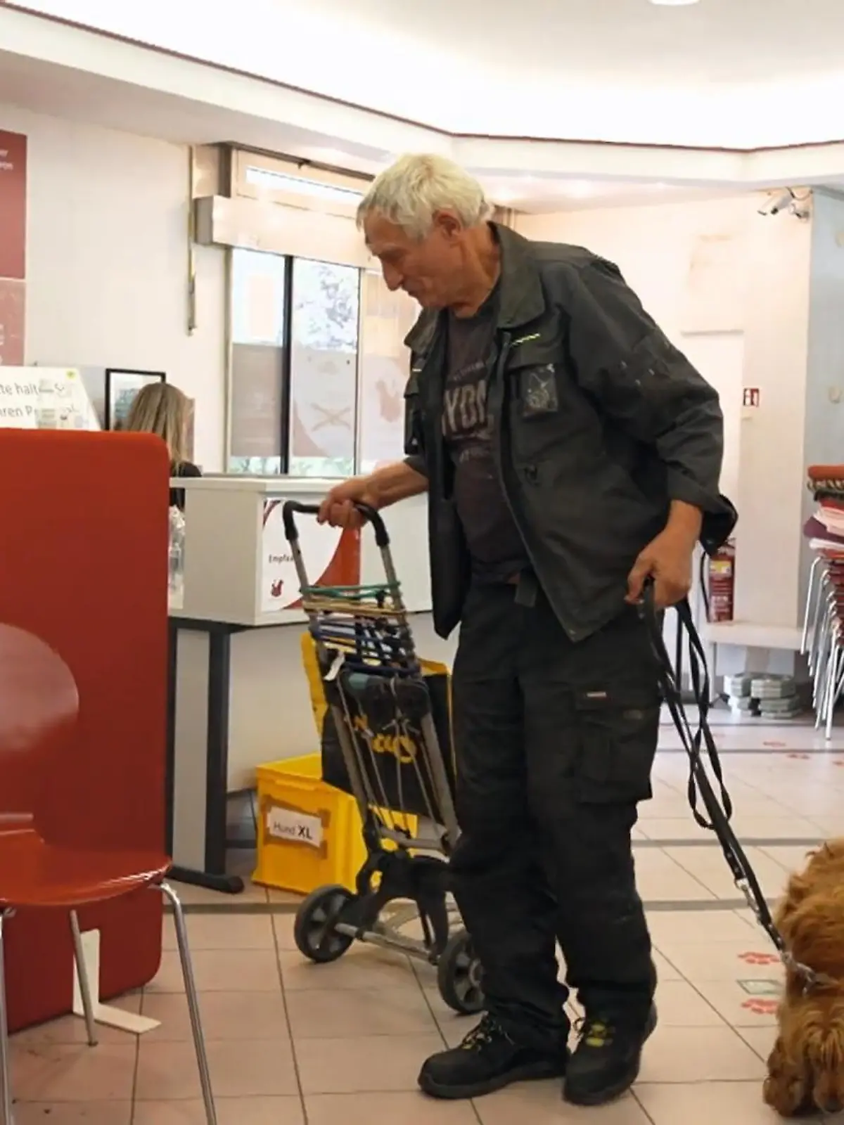 Bild zu: "Mehr als nur Futterausgabe"