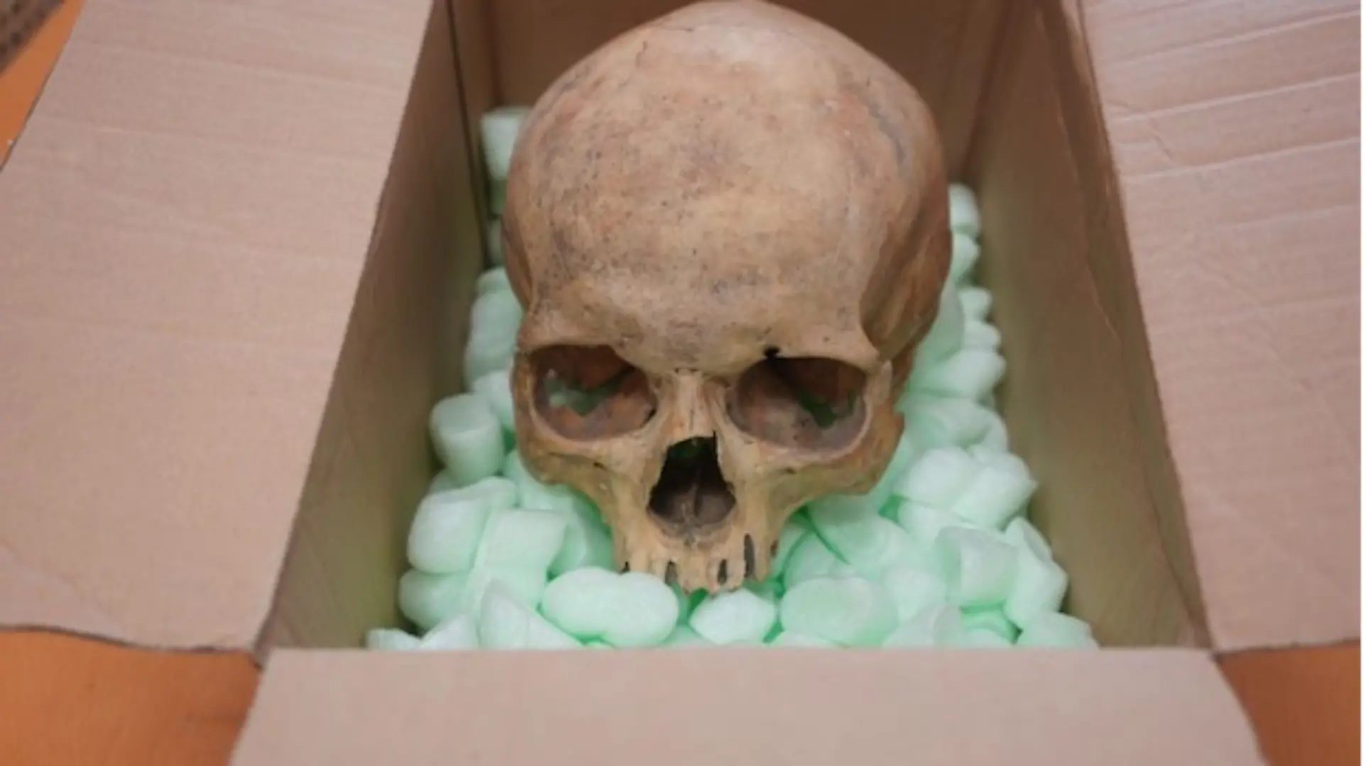 Dieses Foto des zurückgeschickten Totenkopfes veröffentlichte die Verwaltung des Stephansdoms