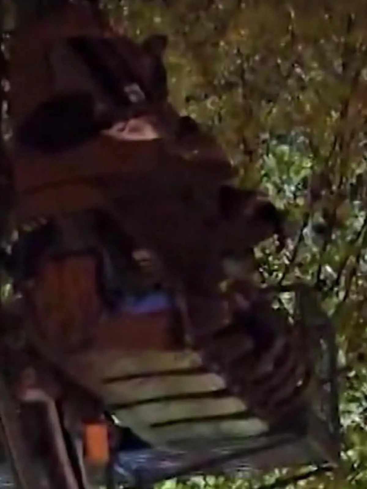 Bild zu: "Alptraum in der Achterbahn! Technischer Defekt während der Fahrt – Noteinsatz!"