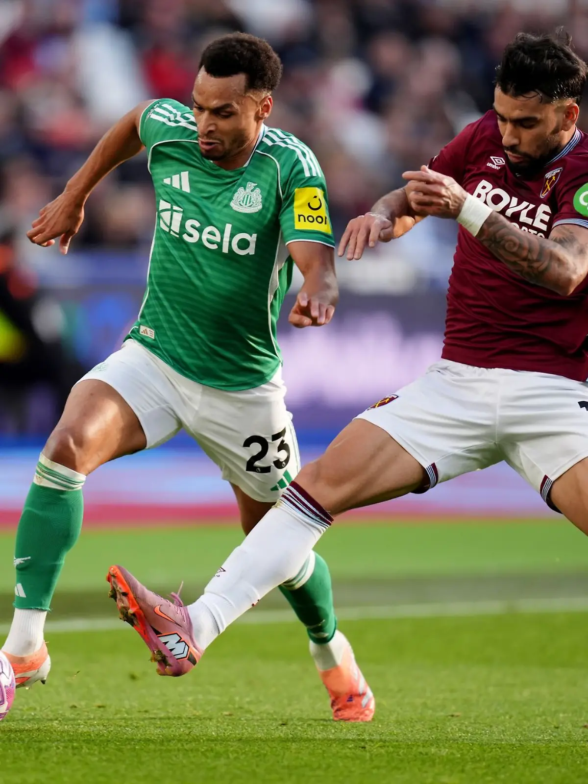 Bild zu: "Newcastle-Pleite beim Vorletzten - Haaland bereit für BVB"