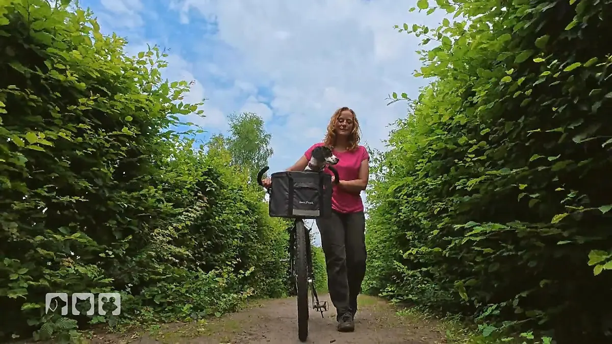 Boo muss ran – Kate setzt das Hundetraining fort Trainingstag mit dem Fahrrad