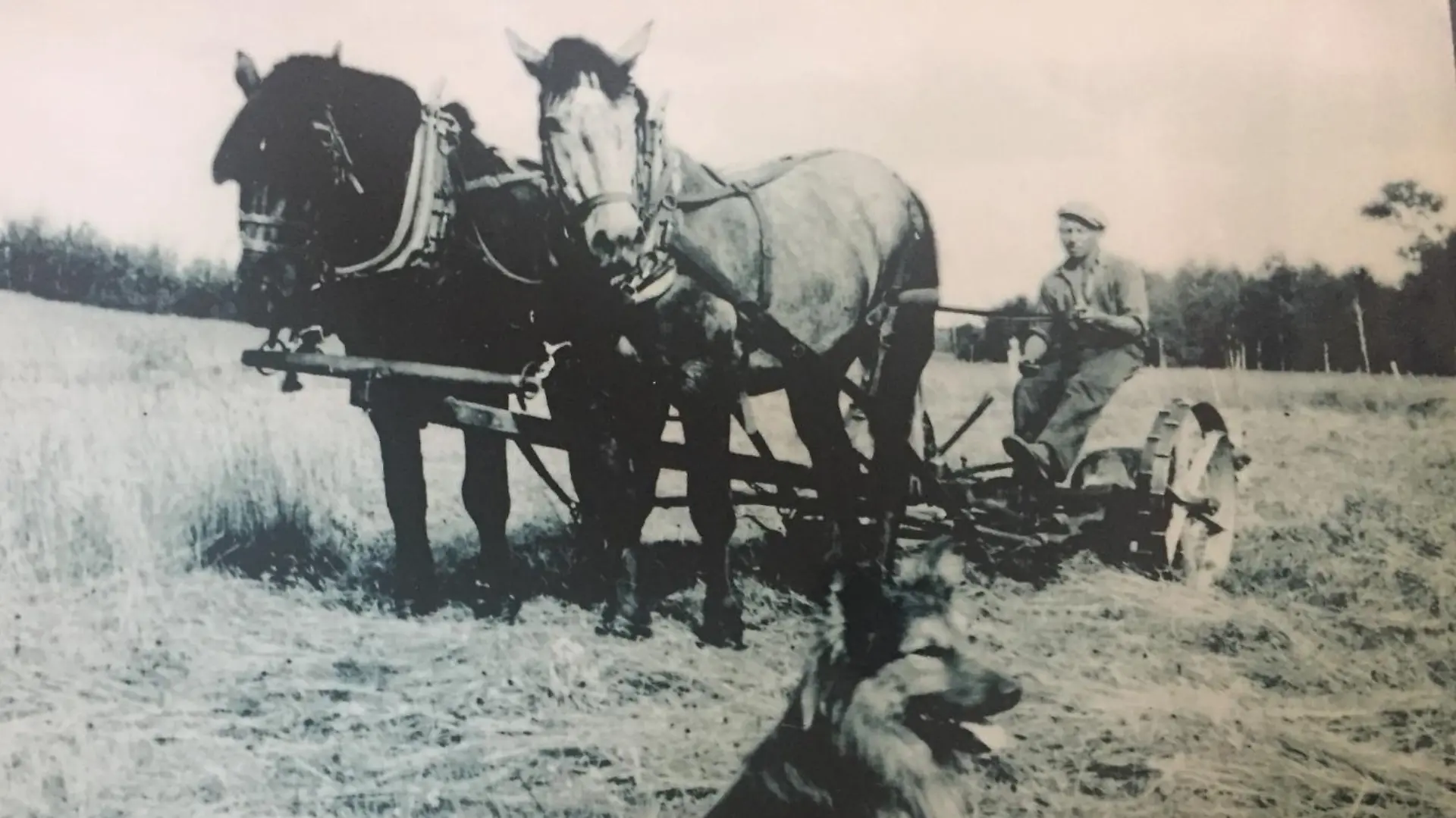 Wilhelm Horstmann auf seiner Farm in Wisconsin