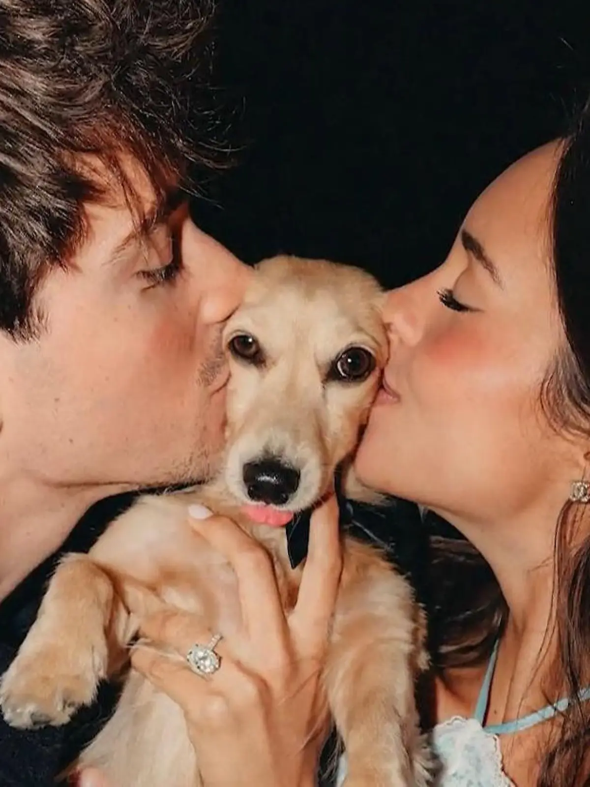 Bild zu: "Ferrari-Star Charles Leclerc hat sich verlobt – Antrag mit tierischer Hauptrolle!"