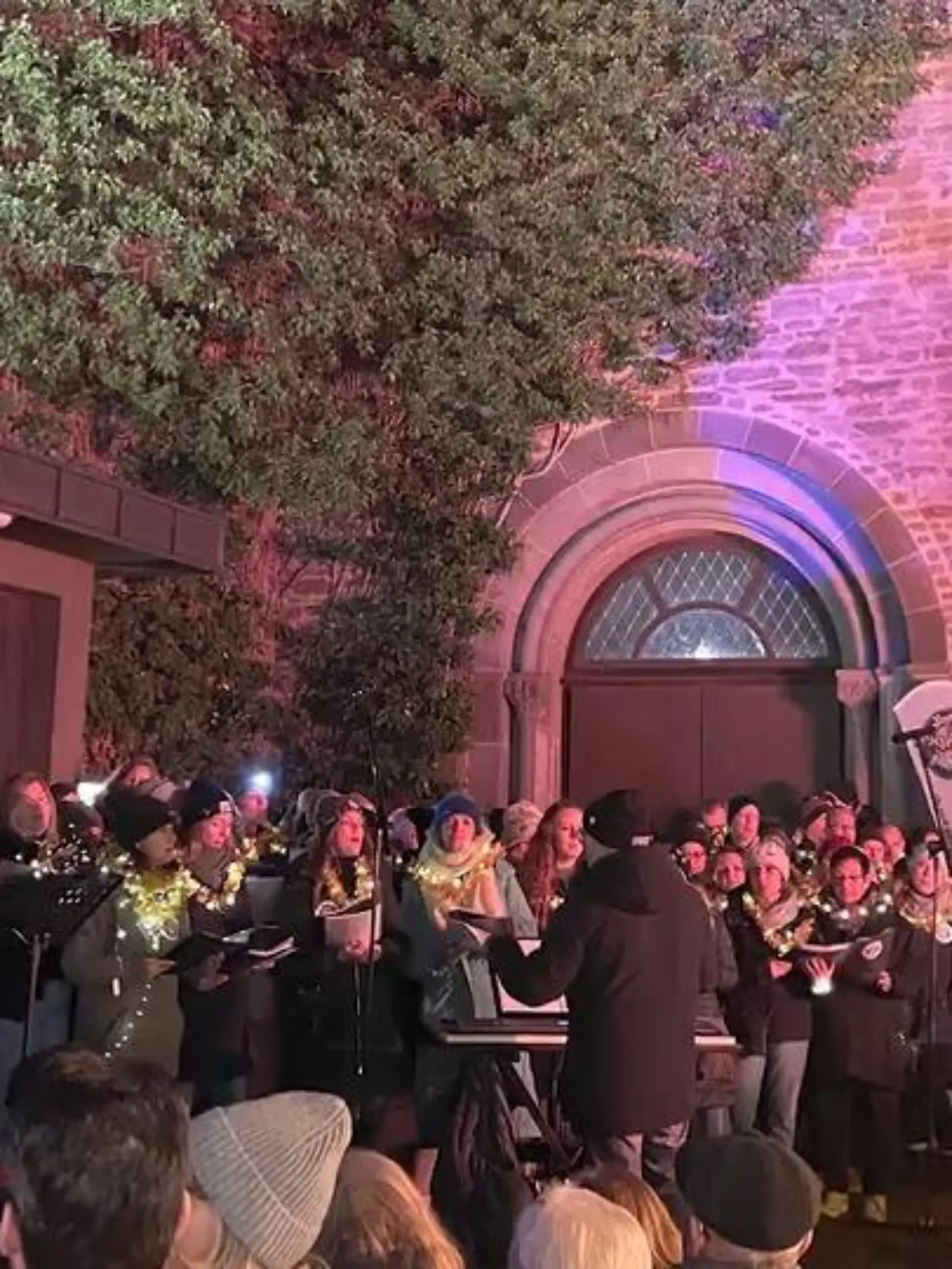 Bild zu: "Terrorabwehr verhindert Weihnachtsmarkt"