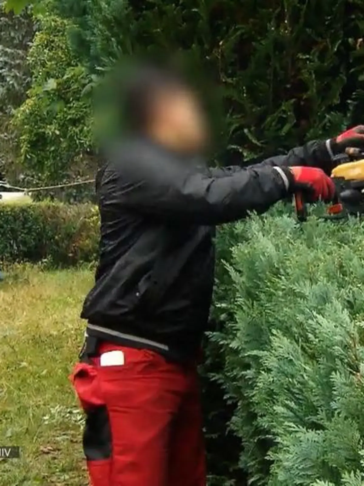 Arbeiter in öffentlichem Park 