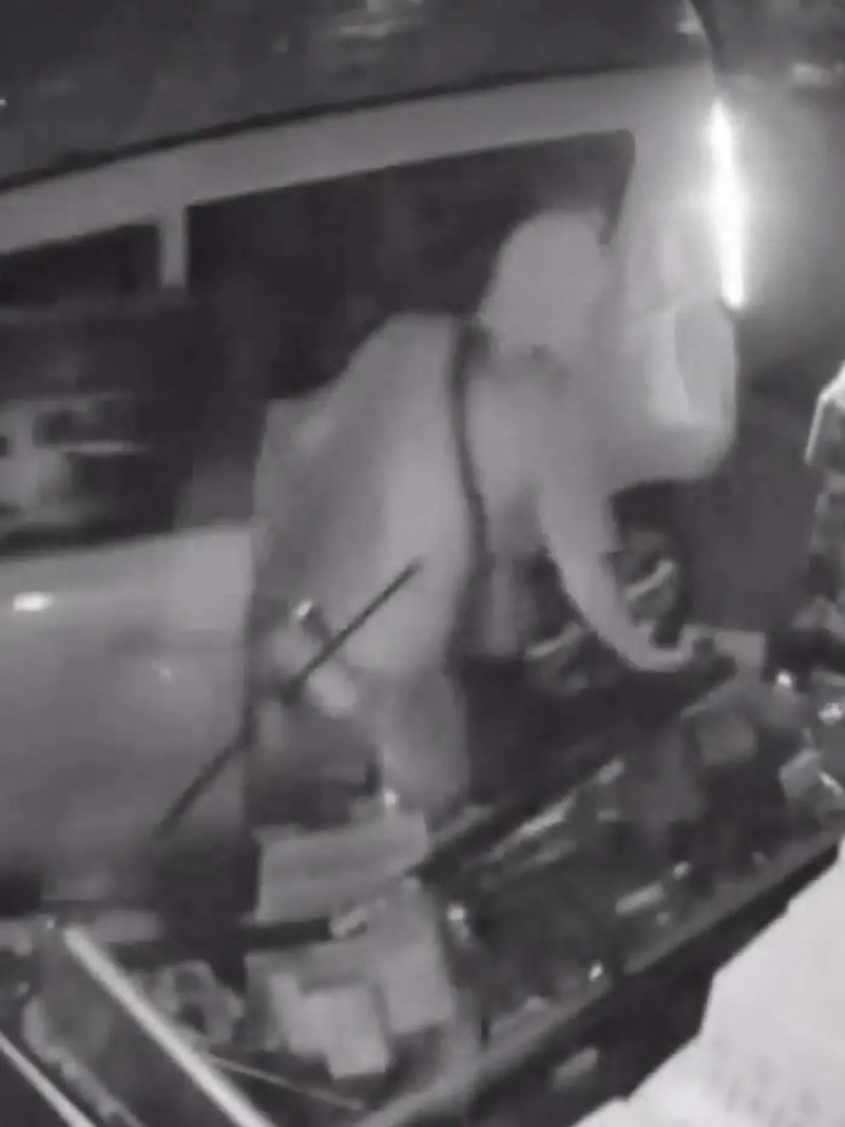 Bild zu: "Mega-Verwüstung wegen E-Zigaretten! Diebe brettern mit Auto in Tabak-Laden"