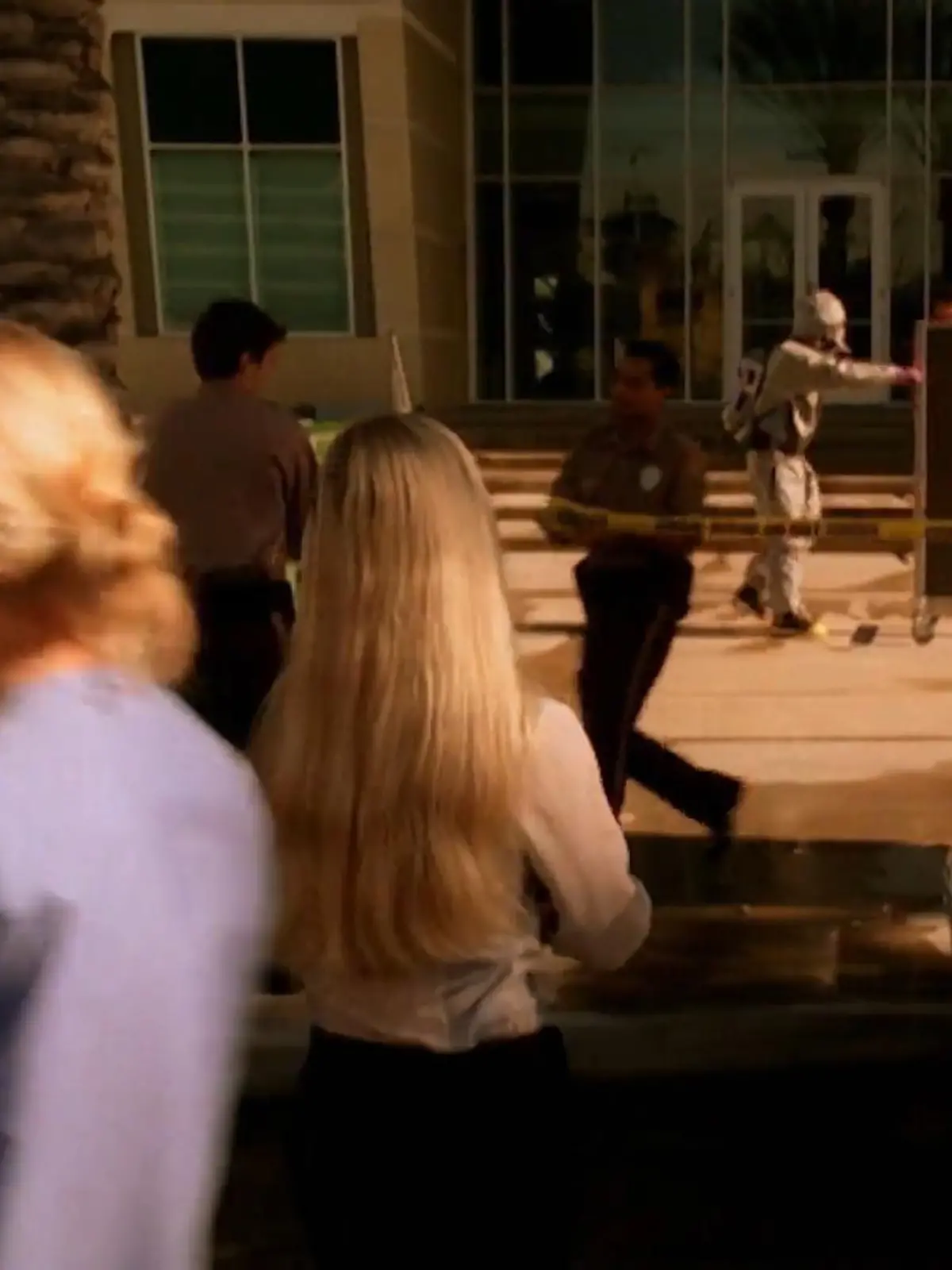 Bild zu: "CSI: Miami"