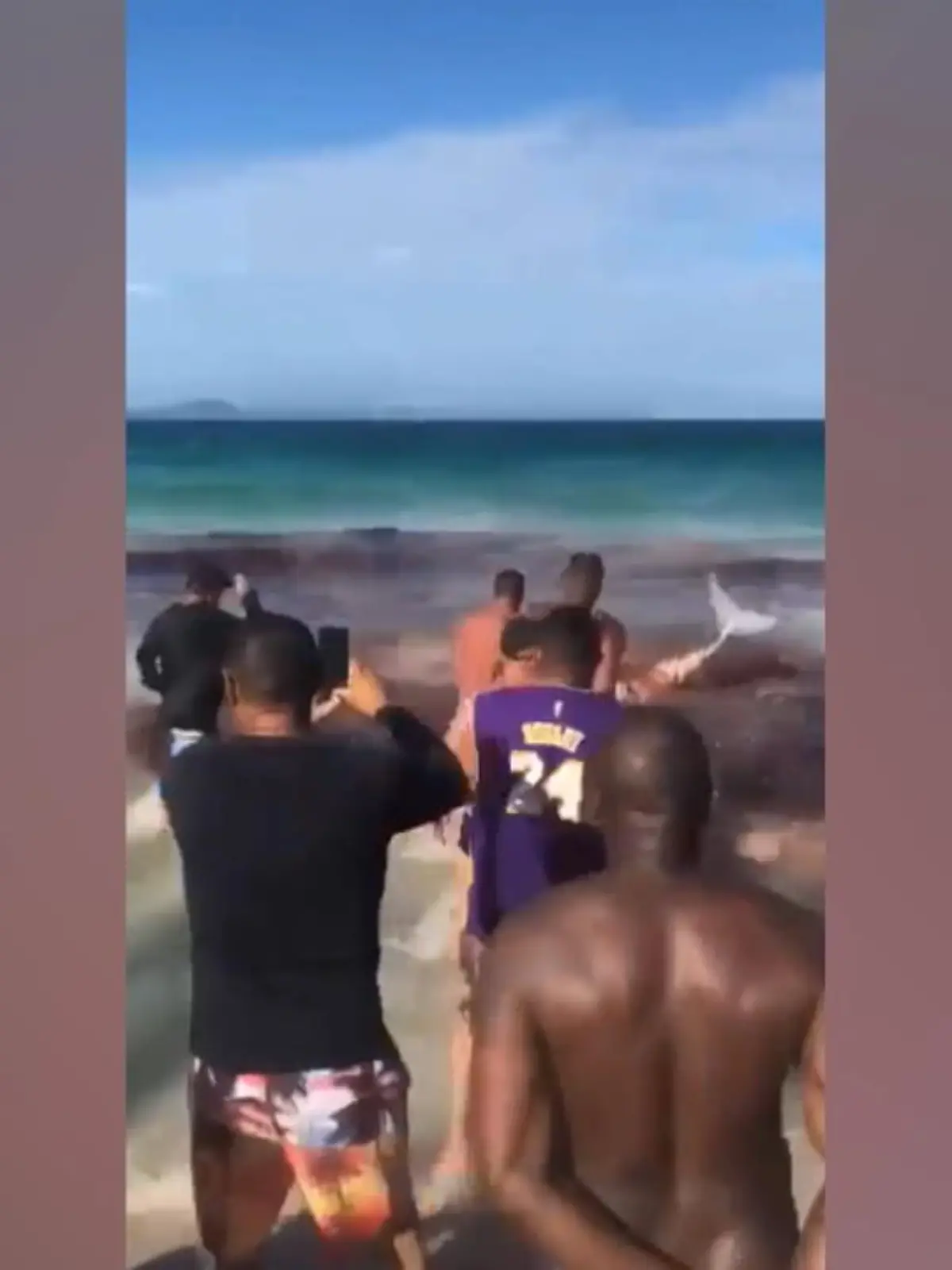Badegäste an einem Strand in Rio de Janeiro können ihren Augen nicht trauen: Eine blutige Hai-Attacke, wie aus einem Horrorfilm - und das direkt vor ihren! Doch bei genauerem Hinsehen merken sie, dass nichts so ist, wie es scheint. Die panisch zappelnde Flosse gehört nämlich nicht zu einem Hai, sondern zu einem Wal.