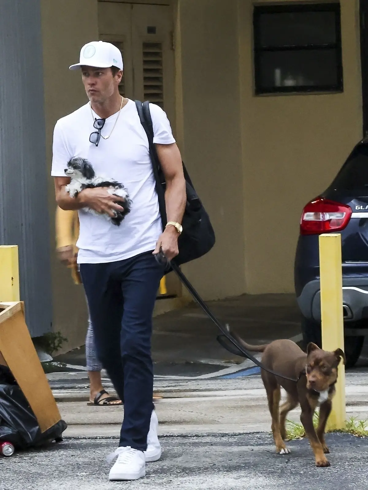 Bild zu: "Hier geht NFL-Legende Tom Brady mit seinem geklonten Hund Gassi"
