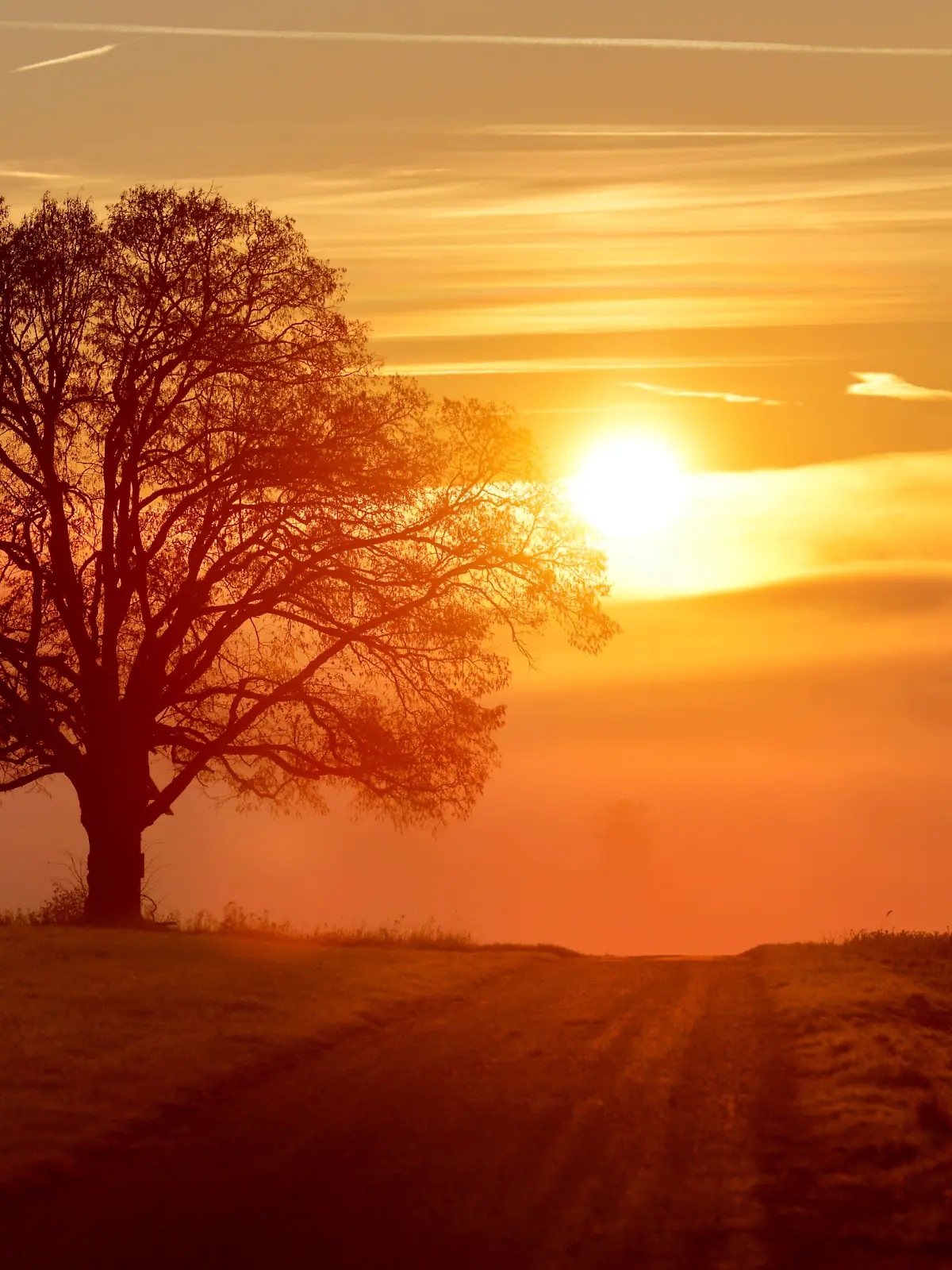 Herbst in Baden-Württemberg