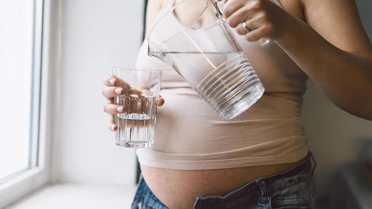 Pregnant woman drinking water near window. Motherhood, pregnancy concept
