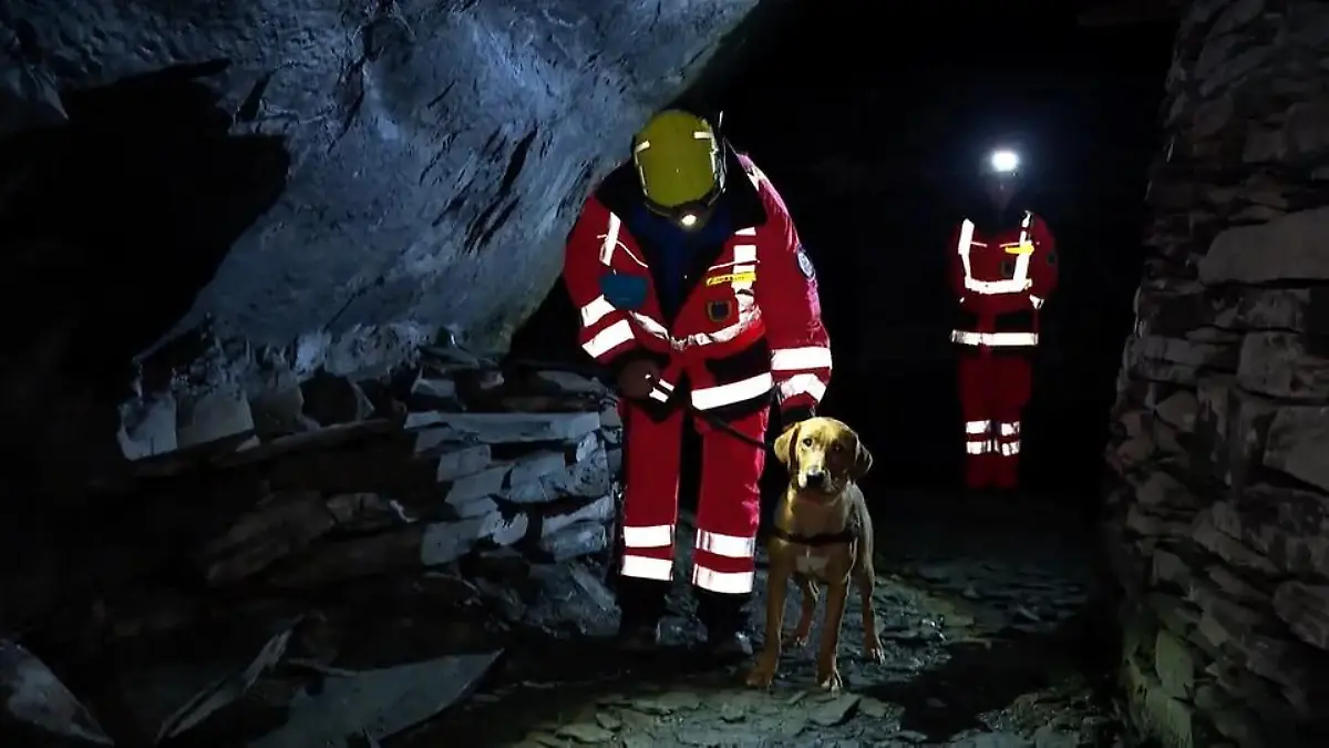 Rettungshundestaffel trainiert im Bergwerk Üben für den Ernstfall