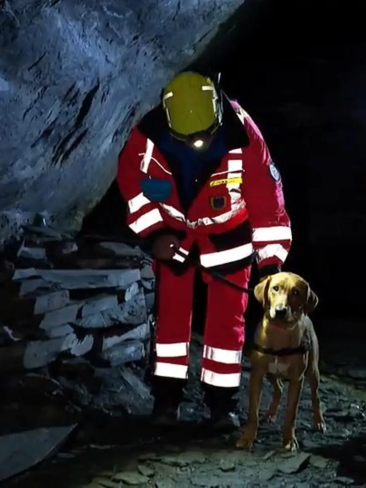 Bild zu: "Rettungshundestaffel trainiert im Bergwerk"