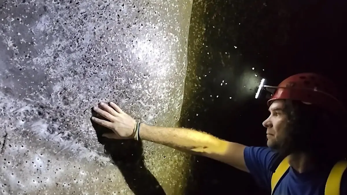 Forscher entdecken wohl größtes Spinnennetz der Welt – mit mehr als 100.000 Tieren! Zwischen Griechenland und Albanien