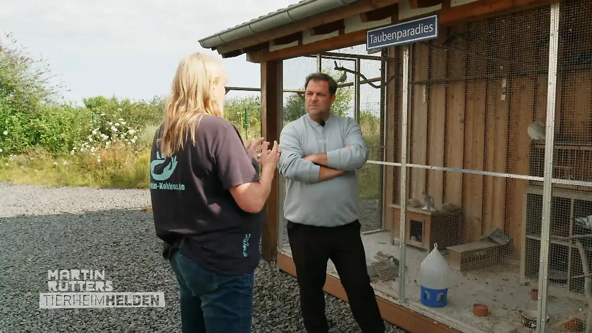 Martin Rütter und die Stadttauben Keine leichte Aufgabe