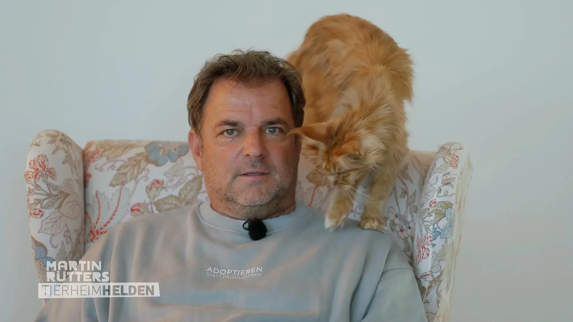 Meditative Momente im Katzen-Café Martin Rütter