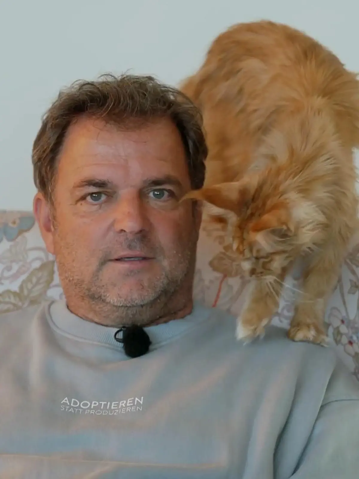 Bild zu: "Meditative Momente im Katzen-Café"