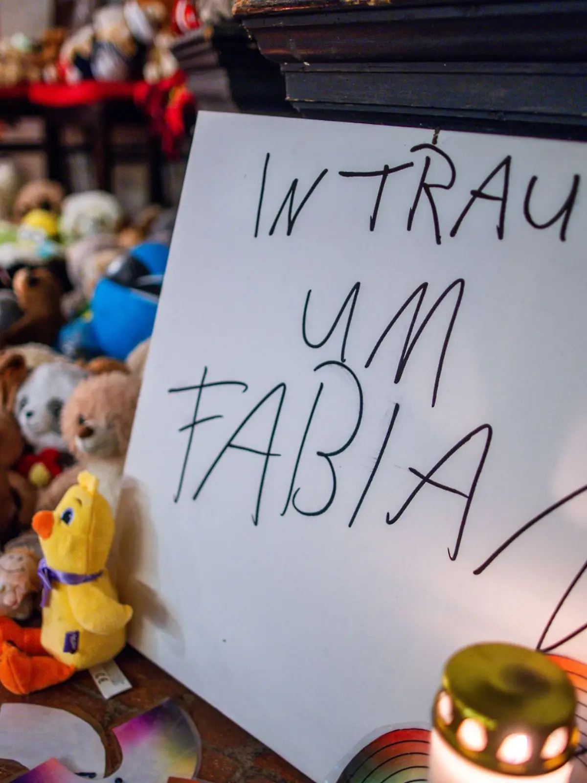 Bild zu: "Die Chronologie im Fall Fabian (†8) aus Güstrow"