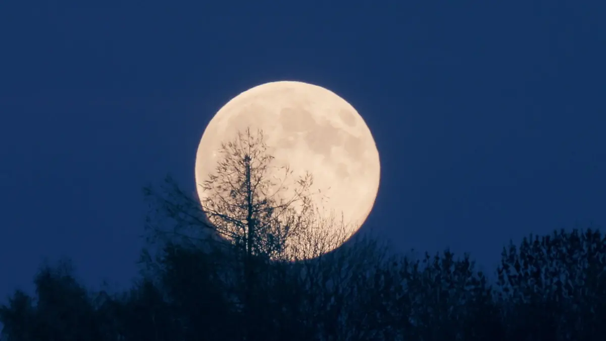 Schlecht schlafen wegen Supermond? Das ist dran am Mythos! Schlafforscher klärt auf