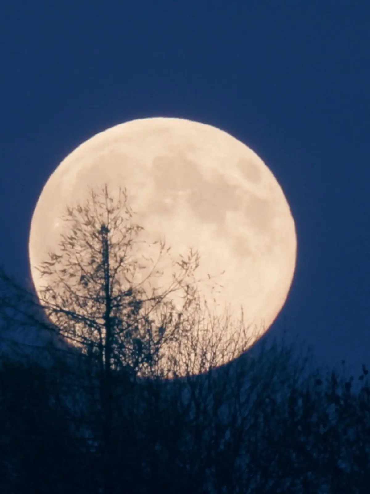 Bild zu: "Schlecht geschlafen wegen Supermond? Das ist dran am Mythos!"