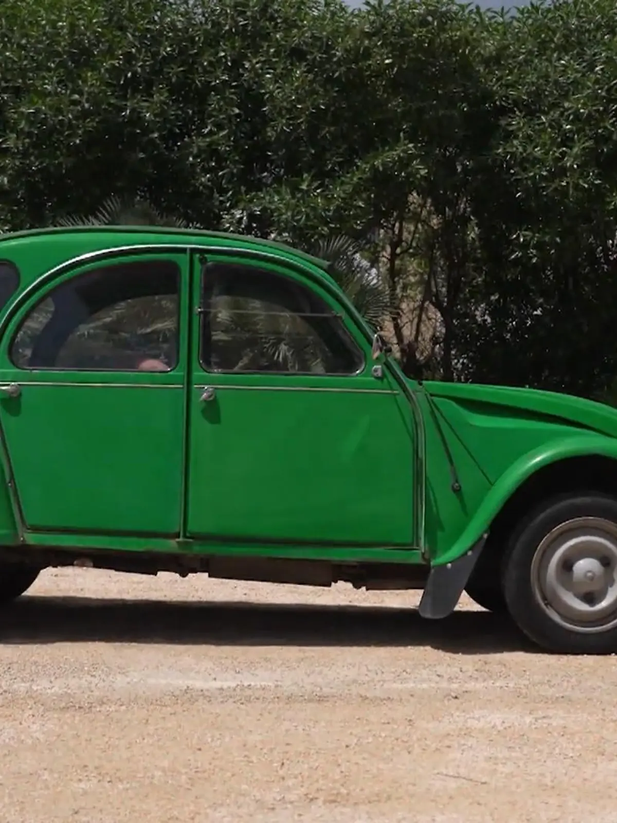 Bild zu: "Olafs geliebte Ente macht schlapp"