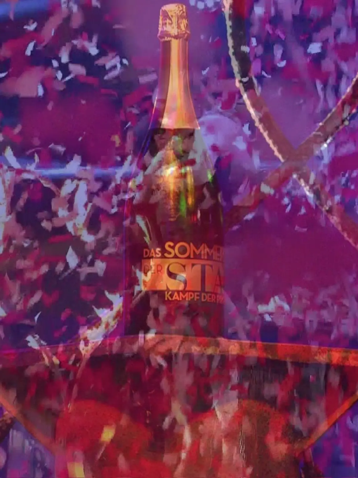 Wer gewinnt im „Das Sommerhaus der Stars” 2025?