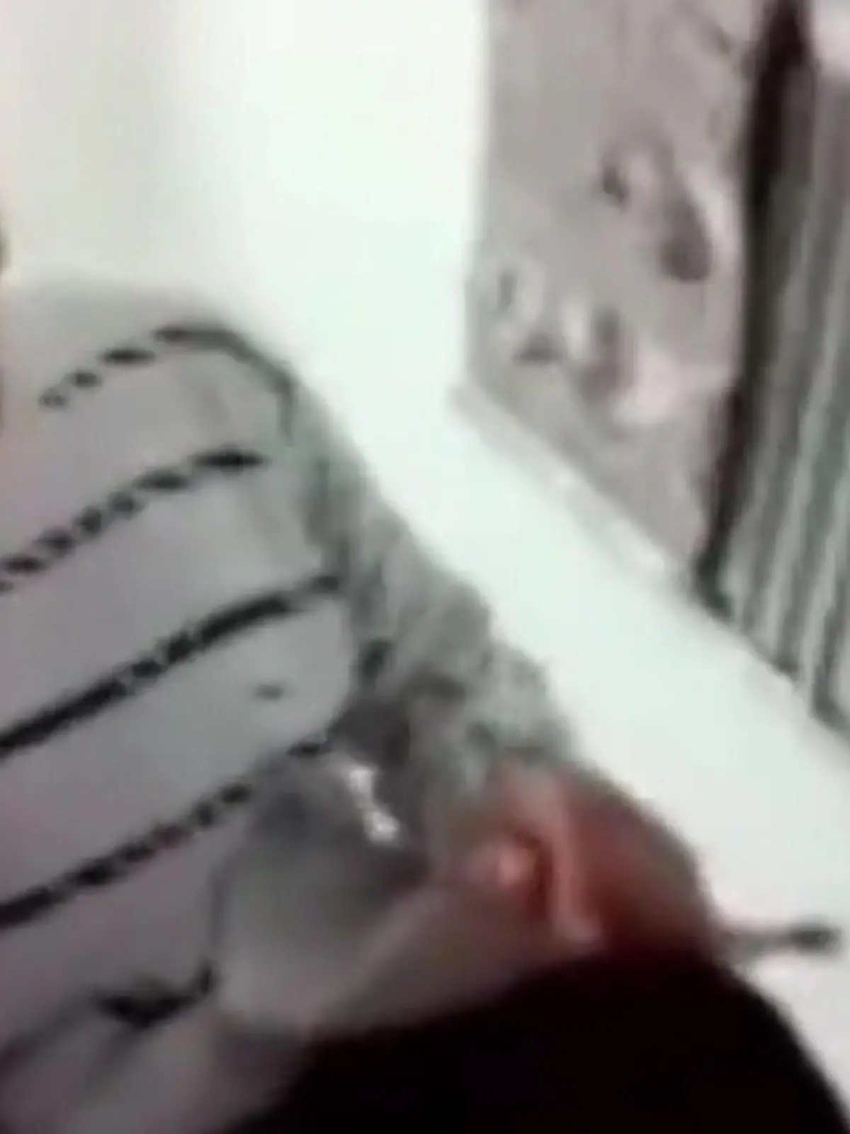 Bild zu: "Alle schauen zu! Politiker macht Pipi-Pause – während Online-Sitzung"