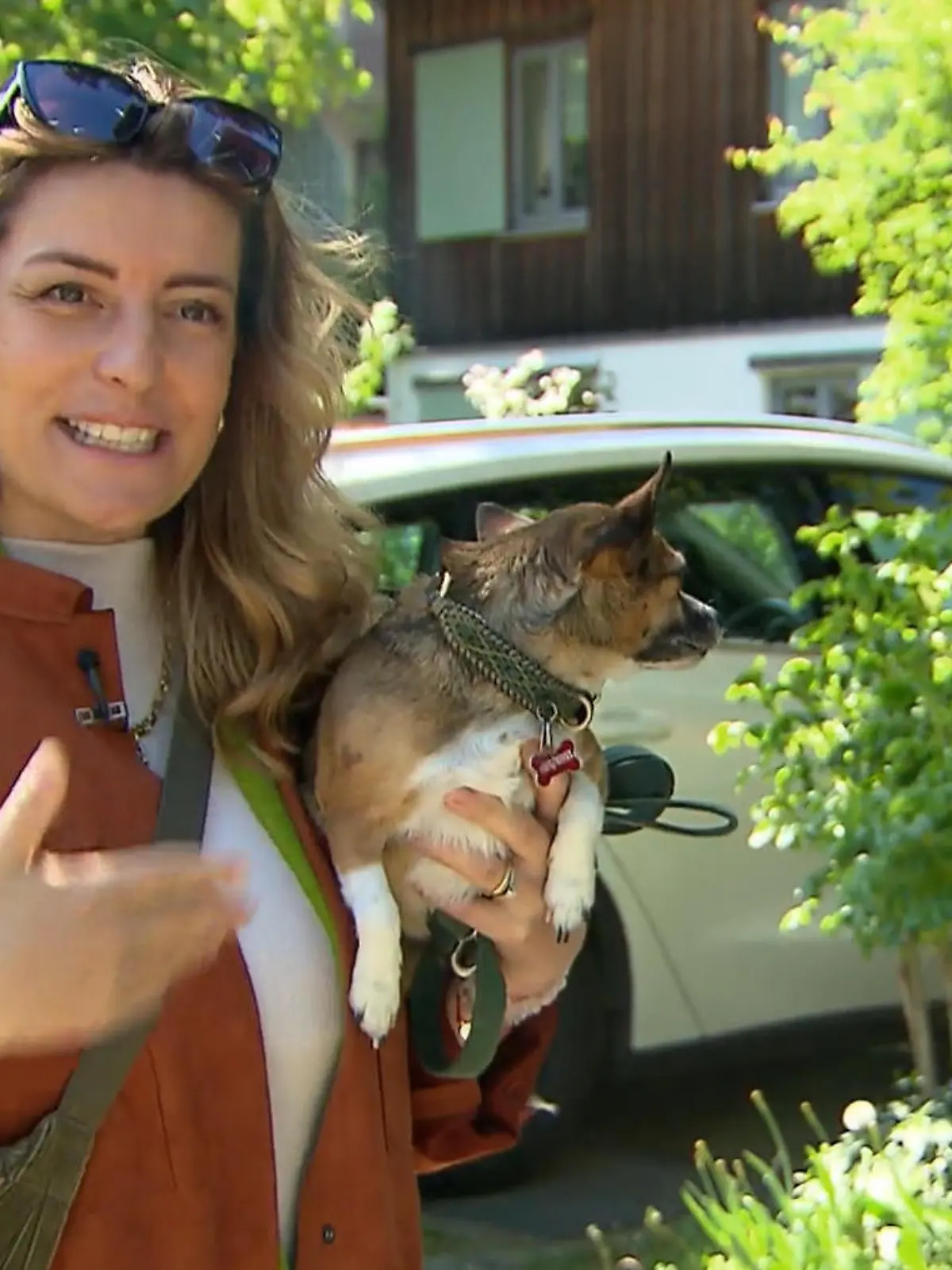 Bild zu: "Lanas Hündin Auri ist "ne coole Socke""