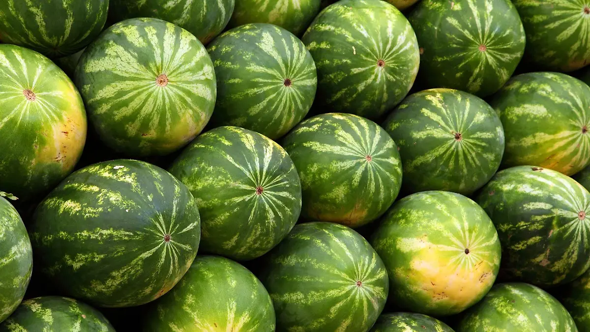 Mit kiloschweren Wassermelonen haben die Mitarbeiter aus dem Supermarkt versucht, sich zu wehren.