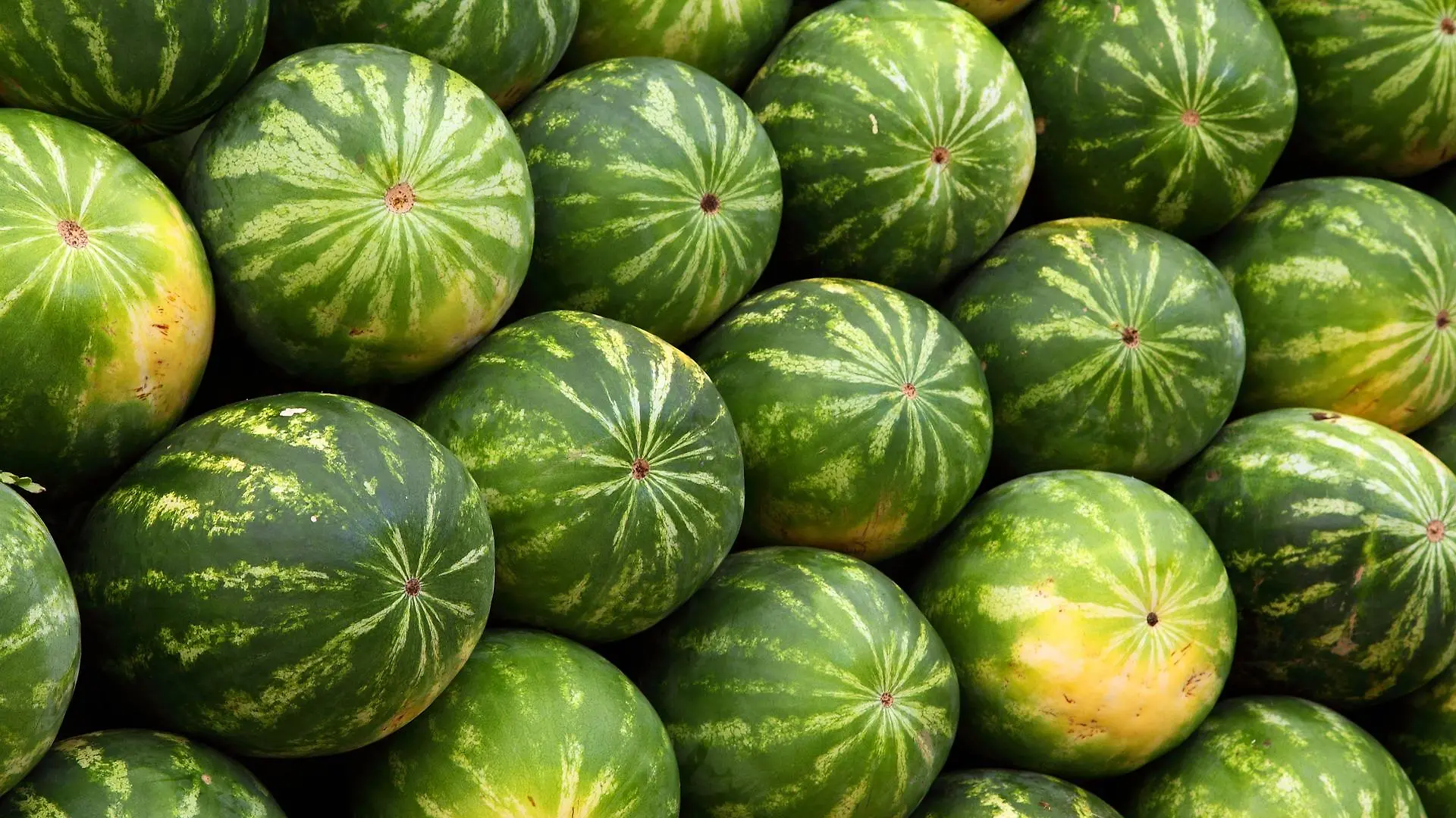 Mit kiloschweren Wassermelonen haben die Mitarbeiter aus dem Supermarkt versucht, sich zu wehren.