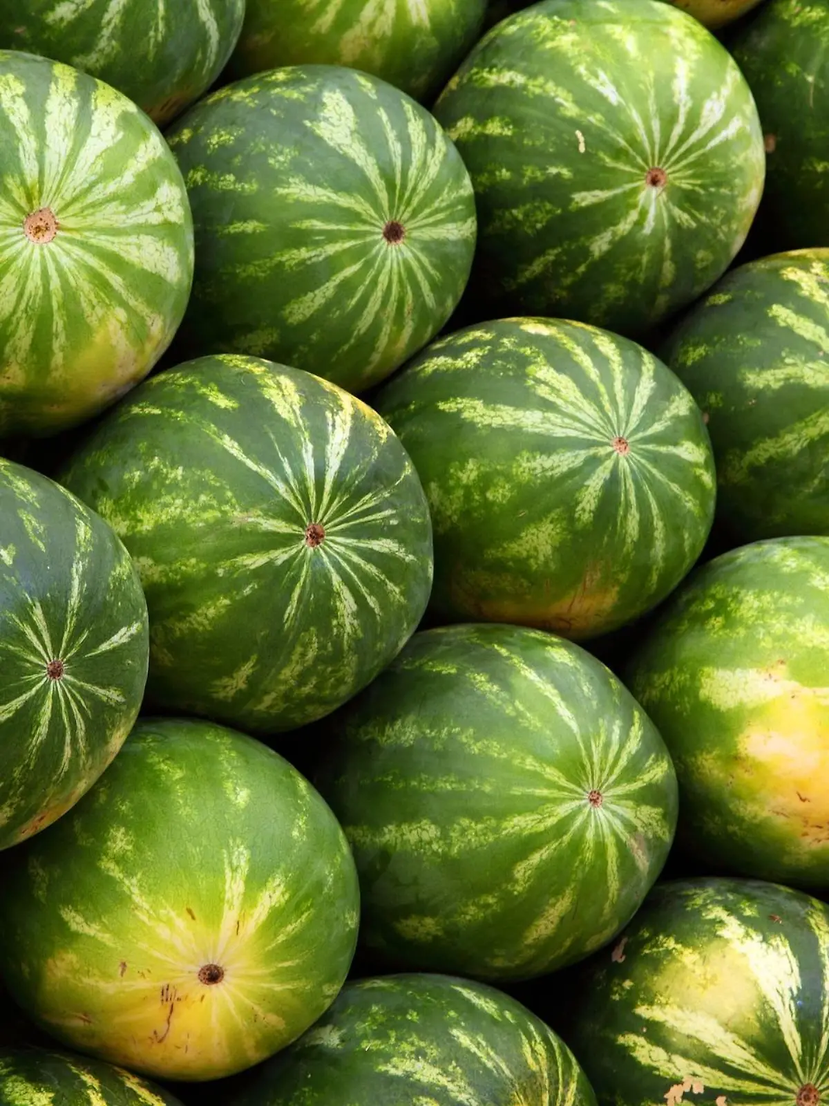 Mit kiloschweren Wassermelonen haben die Mitarbeiter aus dem Supermarkt versucht, sich zu wehren.