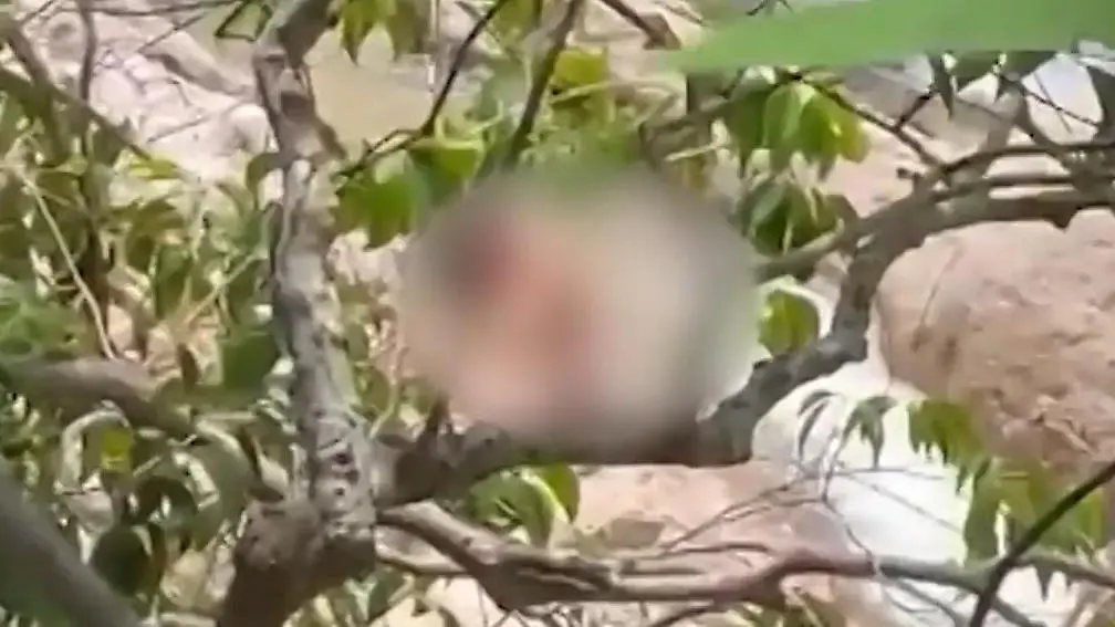 Thailand-Sex-Touristen-treiben-es-an-Flussufer-Festnahme-