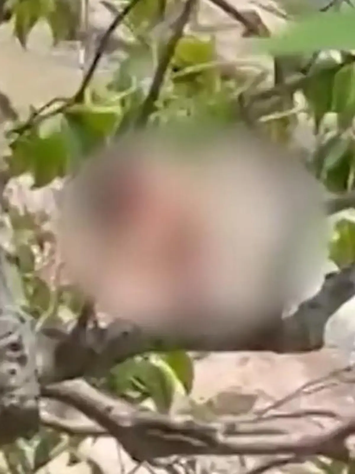 Bild zu: "Sex-Touris treiben es ungeniert an Flussufer – Spaziergänger sehen ALLES!"