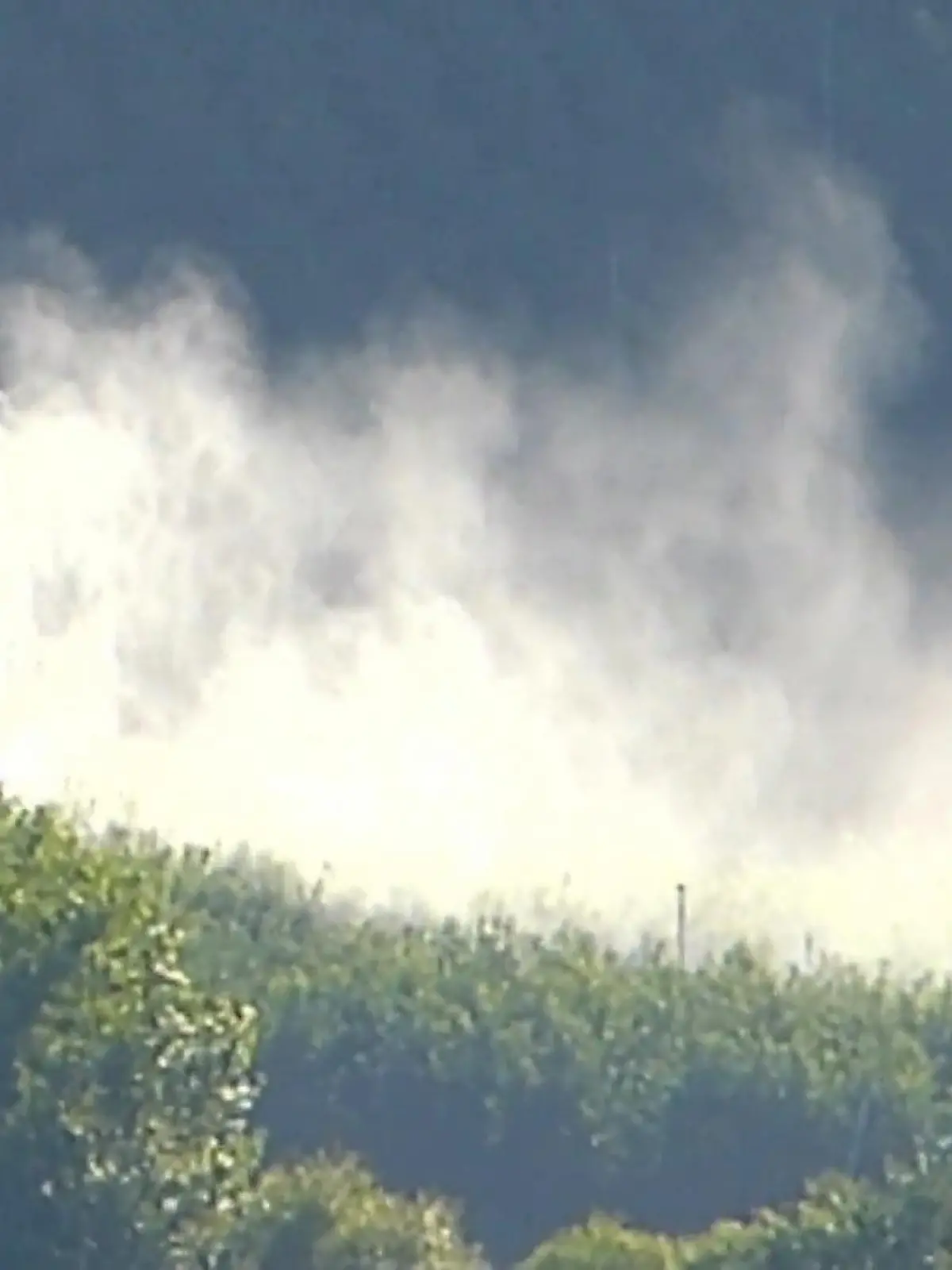 Bild zu: "Pestizide - Hoher Preis für makellose Früchte"