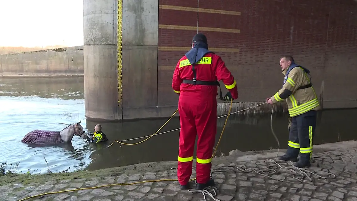 30.12.2022, Niedersachsen, Seelze: Feuerwehrleute retten ein blindes Pferd aus dem Fluss Leine. Das Pferd Johnny war offenbar von einem Silvesterböller aufgeschreckt worden und von der Koppel gerannt. Weil es nichts sehen konnte, lief das Tier in den Fluss, aus dem es alleine nicht mehr herausfand. Foto: Fernando Martinez Lopez/TNN/dpa +++ dpa-Bildfunk +++