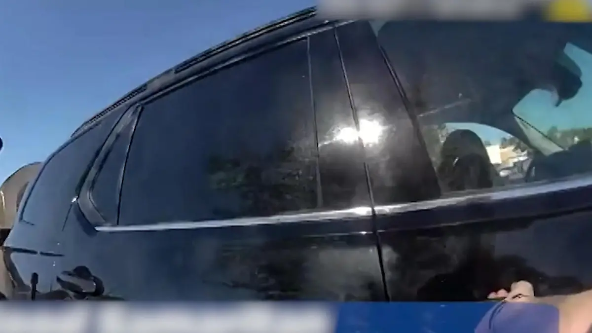 Dreifach-Mama (46) beobachtet Polizei bei Verfolgungsjagd – und ist plötzlich mittendrin! Mit einem Mal jagt Lesli Verbrecher