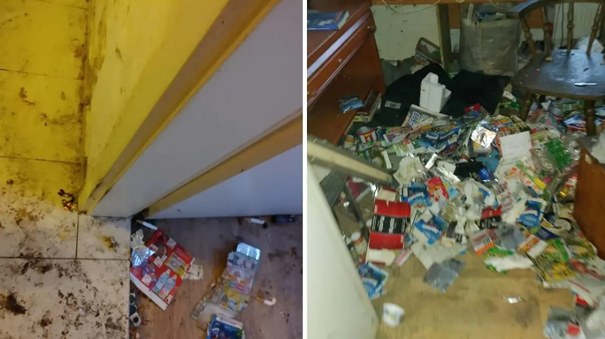 In der Wohnung stapelte sich der Müll.