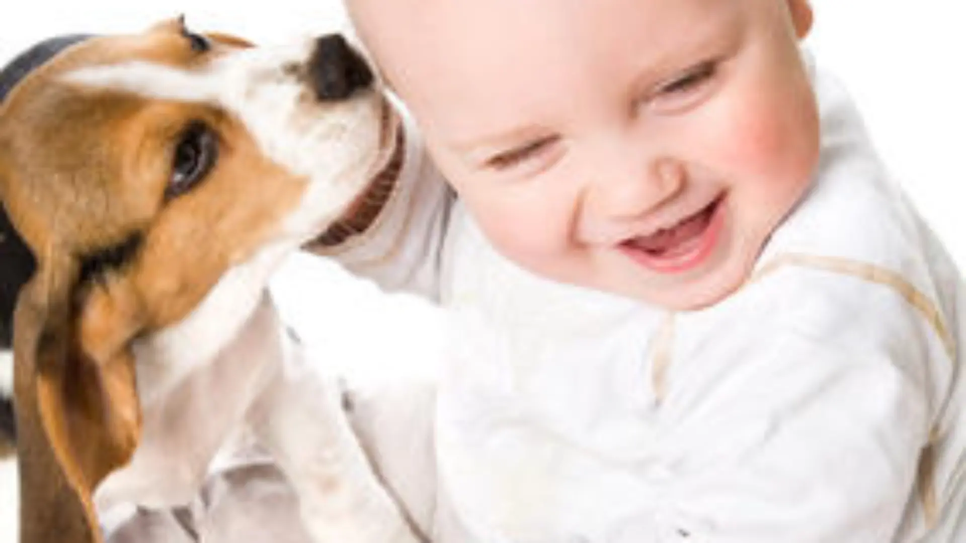 Hund Baby.jpg