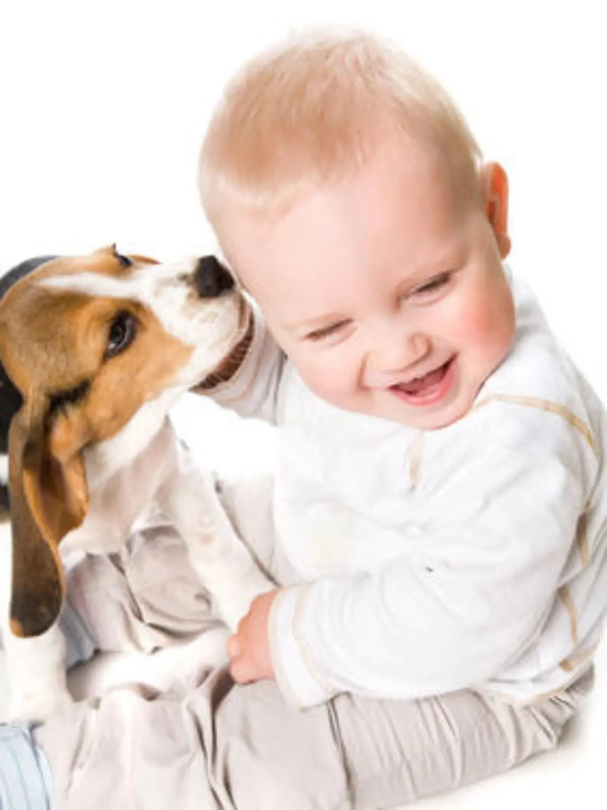 Hund Baby.jpg
