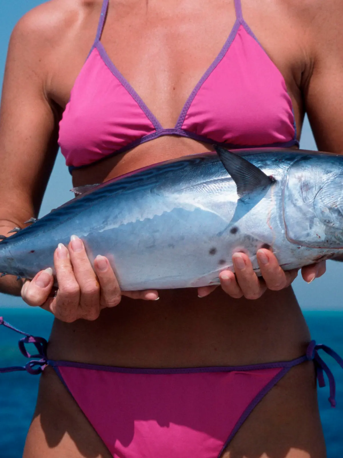 Frau mit Thunfisch, Rotes Meer