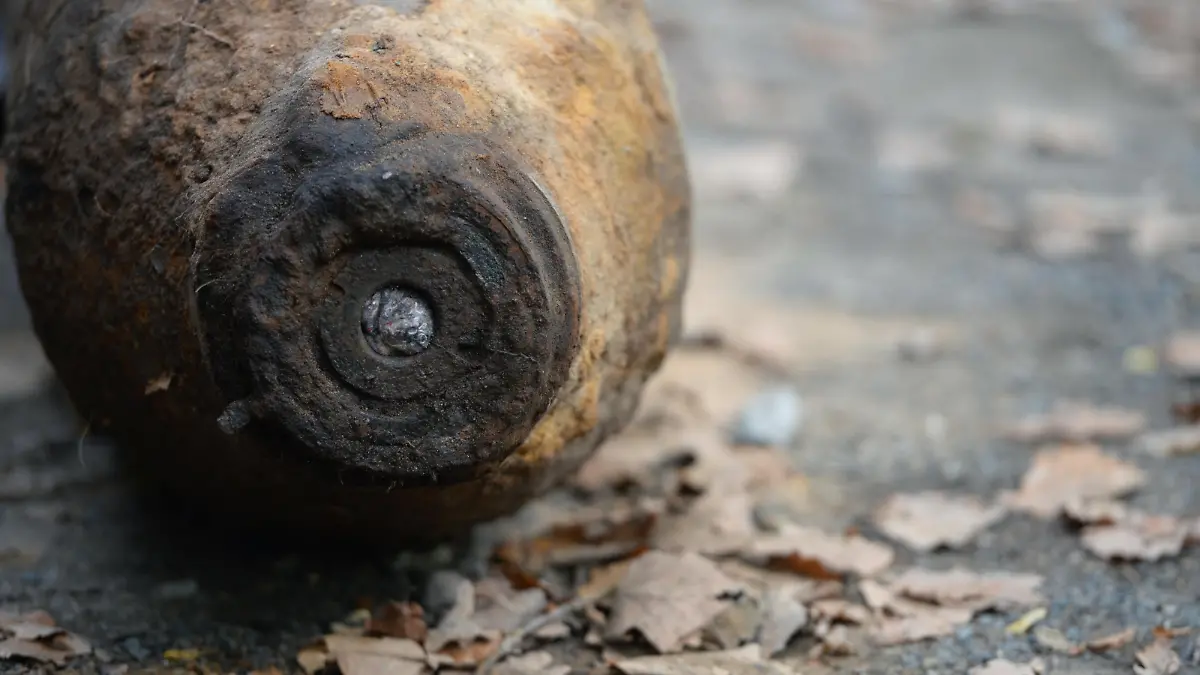 Eine entschärfte 250kg US-Fliegerbombe liegt am 02.10.2014 in einem Wald in Potsdam (Brandenburg). Der Blindgänger aus dem 2.Weltkrieg wurde in der Nähe des Potsdamer Regierungsviertels entdeckt. Foto: Ralf Hirschberger/dpa