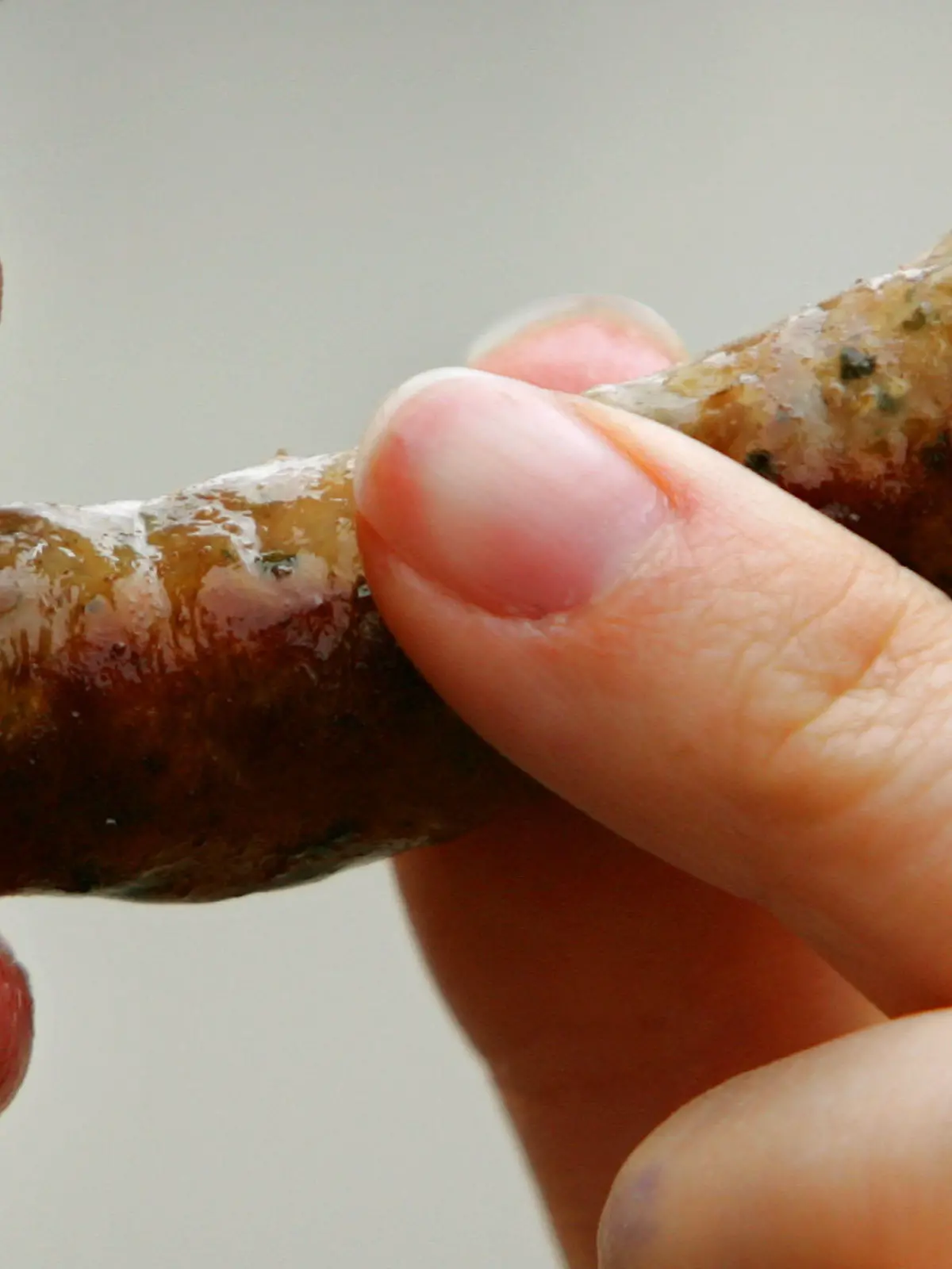In eine "Nürnberger Bratwurst" beißt eine junge Frau am Mittwoch (06.04.2005) in Nürnberg (Illustrationsfoto). Der Rechtsstreit zwischen dem Wirt des Münchener Gasthauses "Nürnberger Bratwurst Glöckl am Dom" und dem Schutzverband Nürnberger Bratwürste vor dem Landgericht Nürnberg geht weiter: Die Bratwurstschützer wollen dem Wirt untersagen, den Namenszusatz "Nürnberger" zu tragen, da die in dem Lokal als "Nürnberger Bratwürste" angebotenen Spezialitäten nicht in Nürnberg hergestellt seien. Ein Urteilstermin steht noch nicht fest. Foto: Alexander Rüsche dpa/lby +++(c) dpa - Report+++